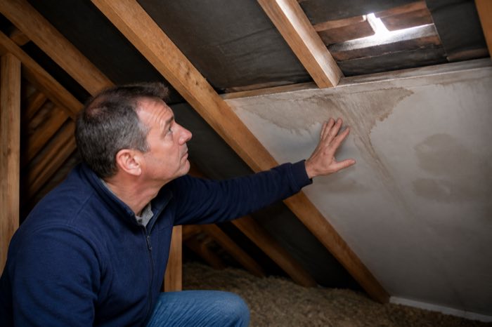 A homeowner checking a water stain in a loft for early roof damage